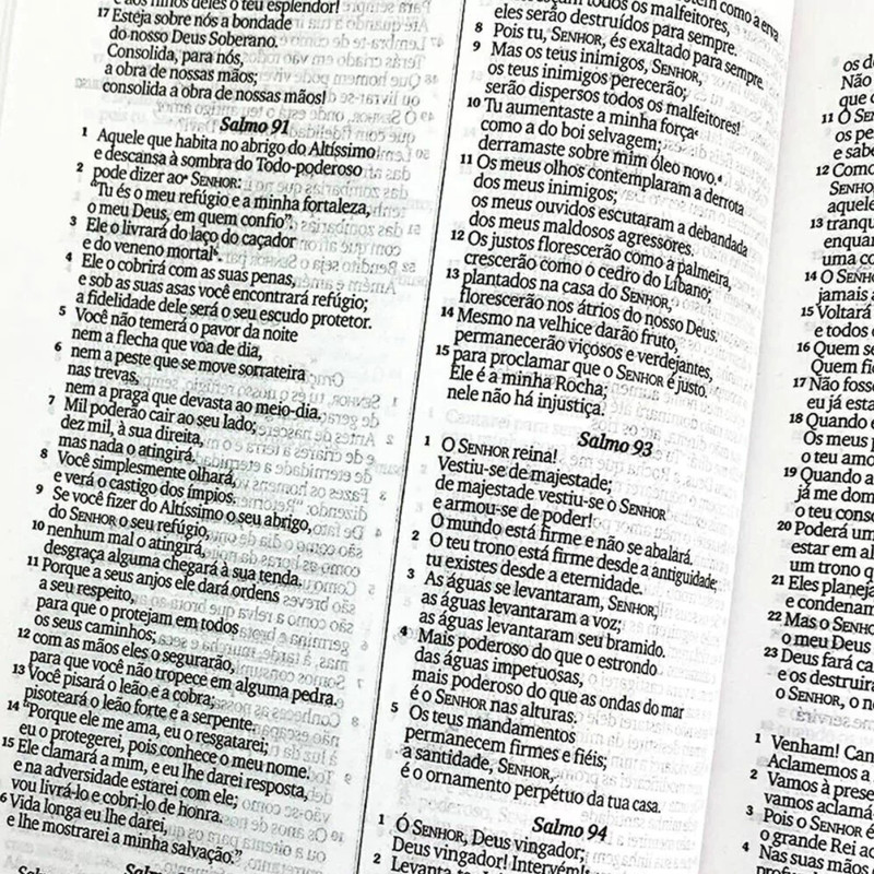 Bíblia NVI Semi Luxo Letra Grande Capa Leão Promessas Divinas - Image 6