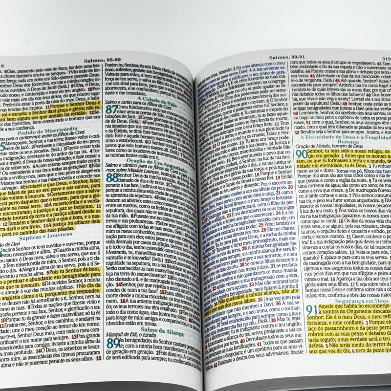 Bíblia ARC | Evangelismo | Brochura | Flor Amarela - Image 2