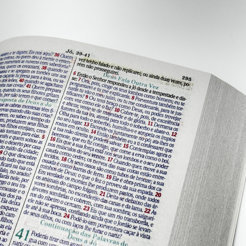 Bíblia ARC | Evangelismo | Brochura | Flor Amarela - Image 3