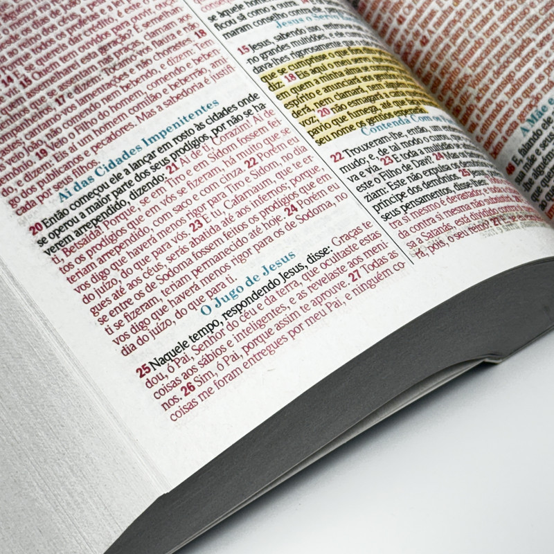 Bíblia ARC | Evangelismo | Brochura | Por Ele - Image 4
