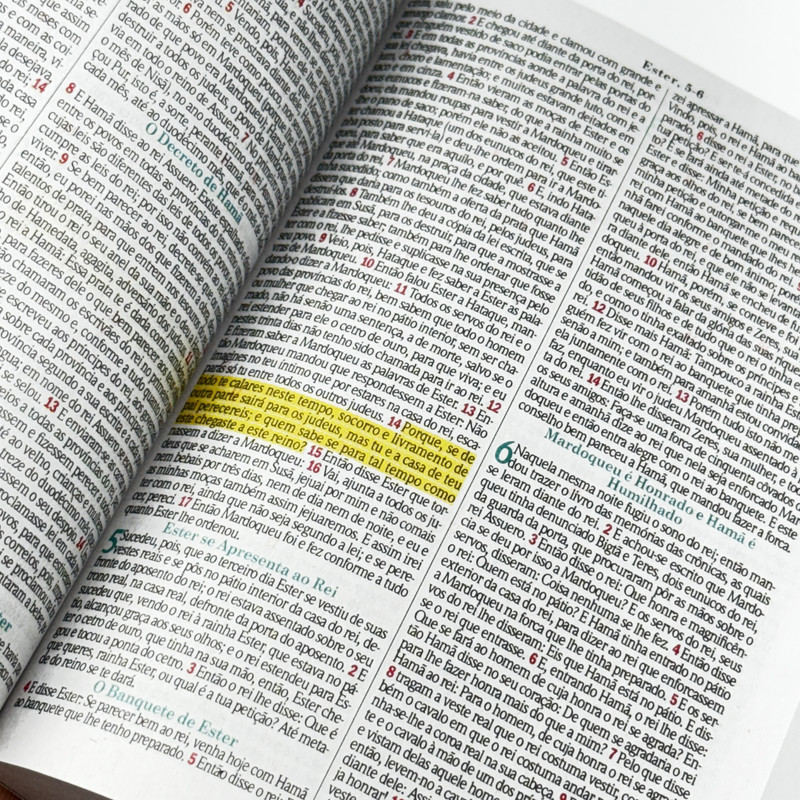 Bíblia ARC | Evangelismo | Brochura | Flor Amarela - Image 5