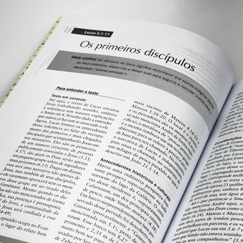 Lucas | Comentário Expositivo | R. T. France - Image 3