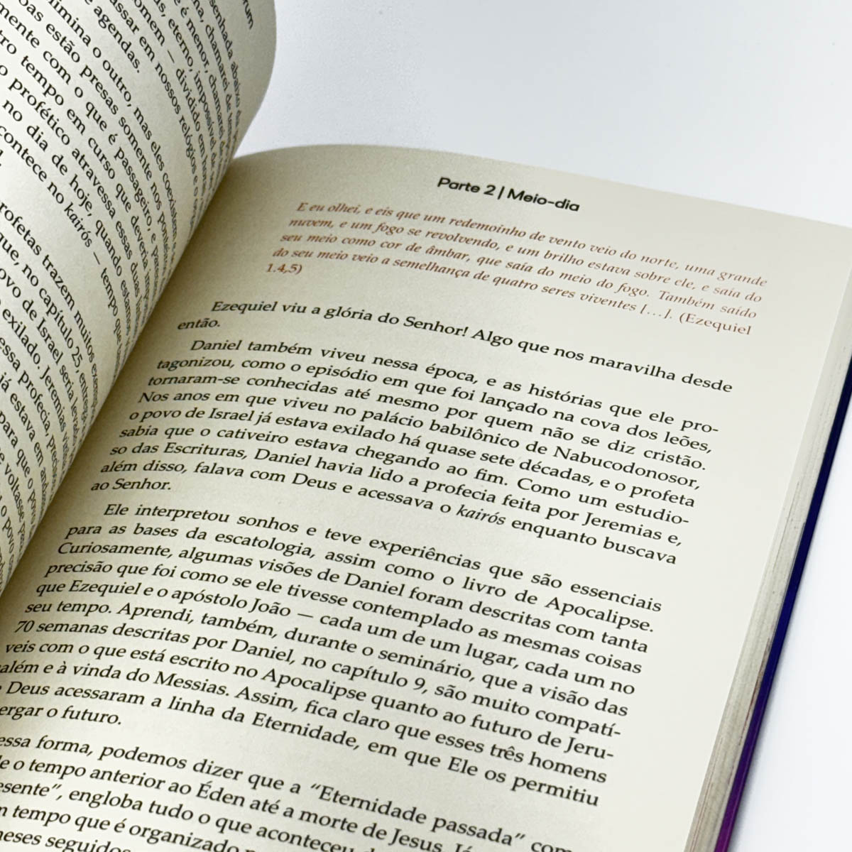 Plena | Fernanda Brum - Image 4