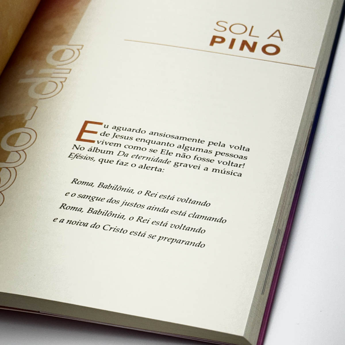 Plena | Fernanda Brum - Image 5