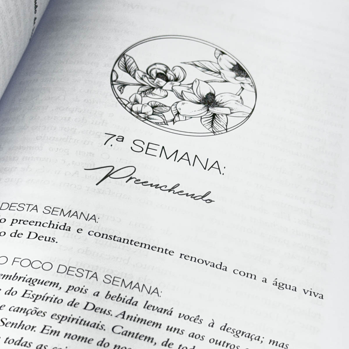 10 Semanas Para Se Tornar Uma Mulher Poderosa | Donna Partow - Image 5