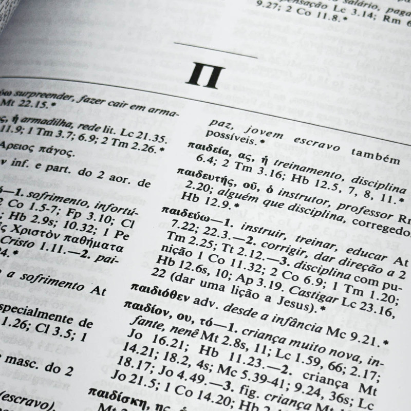 Lexico Do Novo Testamento | Grego | Português | F. Wilbur Gingrich - Image 3