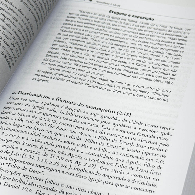 Apocalipse | Comentário Exegético | Grant R. Osborne - Image 3