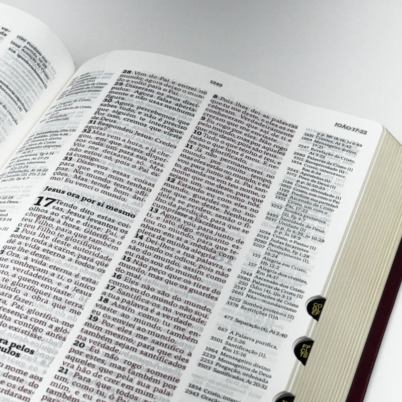 Bíblia De Estudo | Thompson | Com ìndice | Luxo Vinho - Image 3