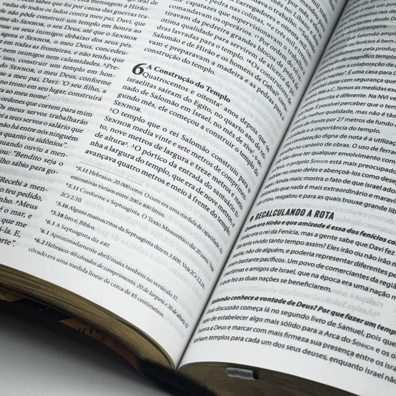 Bíblia de Estudo | NVI | Rota 66 | Luiz Sayão | Luxo Caramelo - Image 3