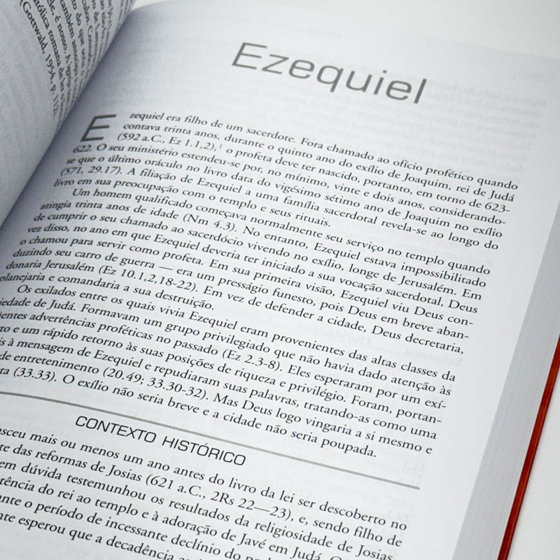 Introdução Ao Antigo Testamento | Raymond B. Dillard - Image 4