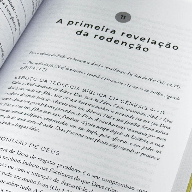 Introdução À Teologia Bíblica | Graeme Goldsworthy - Image 4