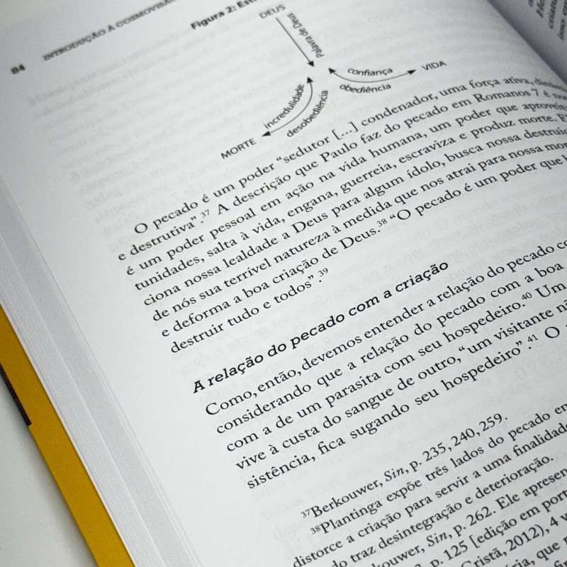 Introdução À Cosmovisão Cristã | Michael W. Goheen - Image 4