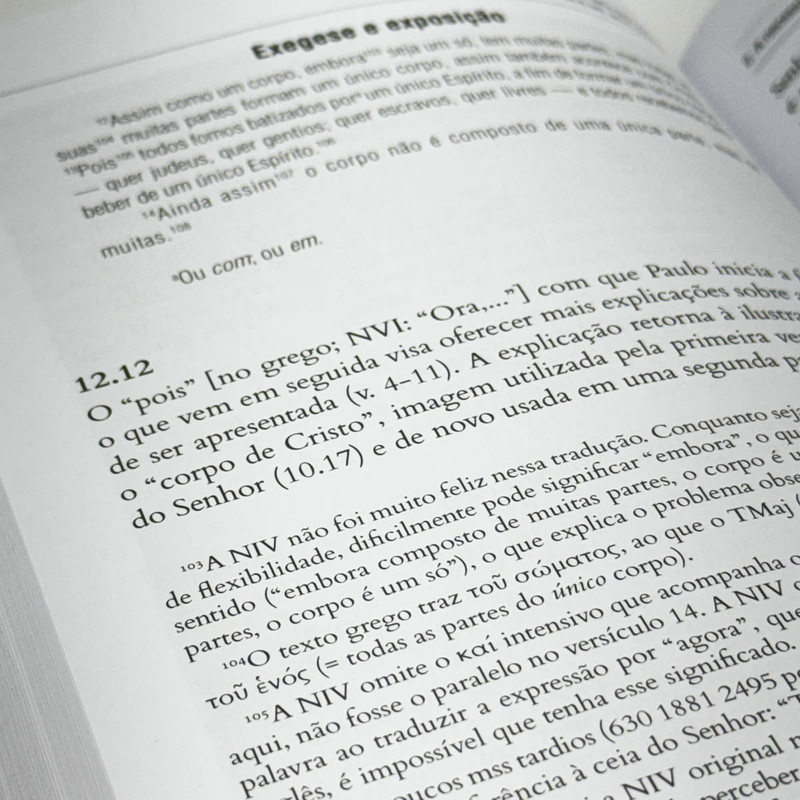 1 Corintios | Comentário Exegético | Gordon D. Fee - Image 4