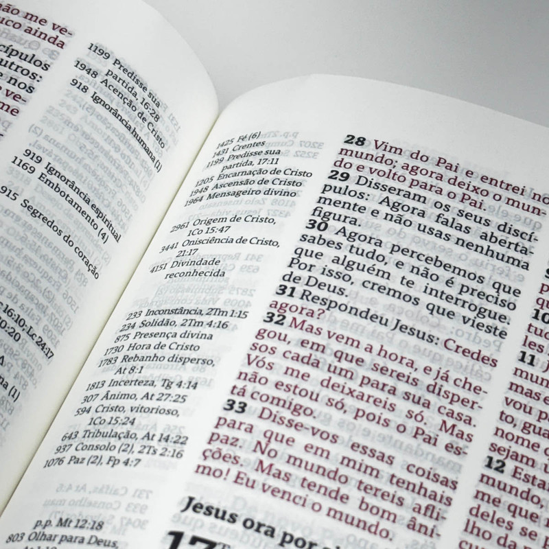 Bíblia De Estudo | Thompson | Com ìndice | Luxo Vinho - Image 4