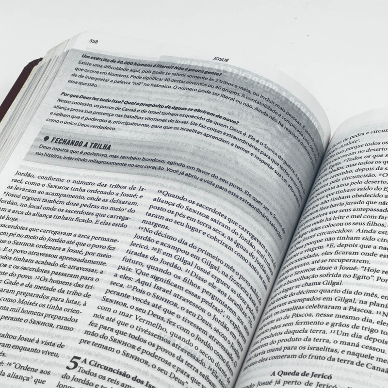 Bíblia de Estudo | NVI | Rota 66 | Luiz Sayão | Luxo Caramelo - Image 5