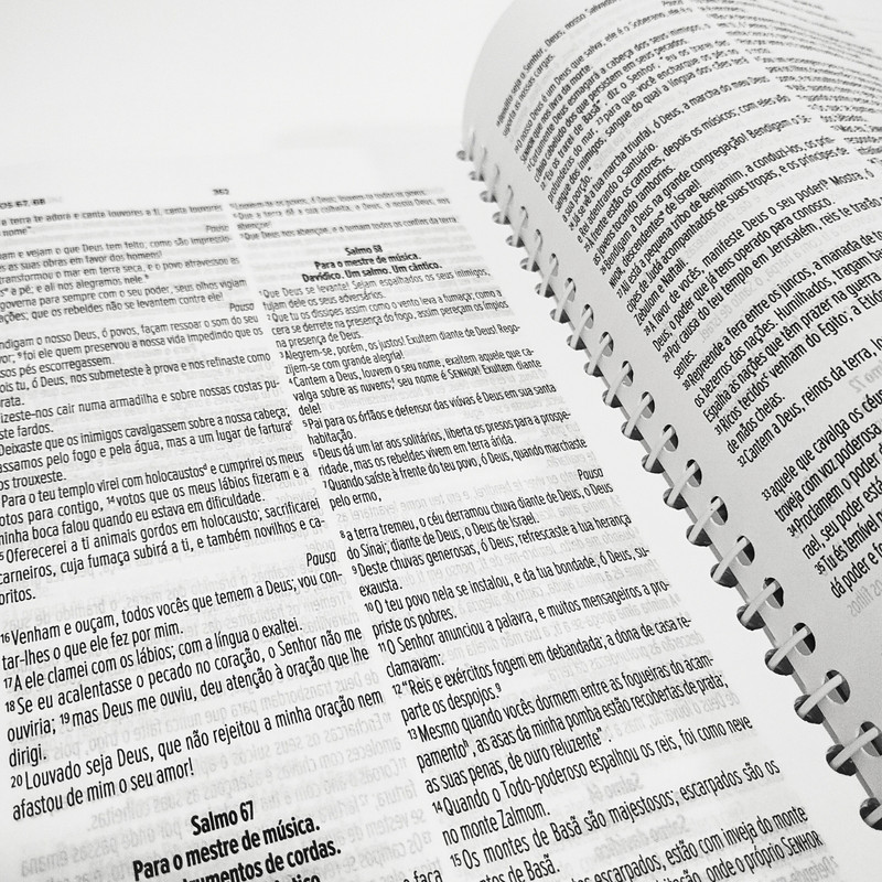 Minha Bíblia Diária | NVI | Anote | Tulipa - Image 2