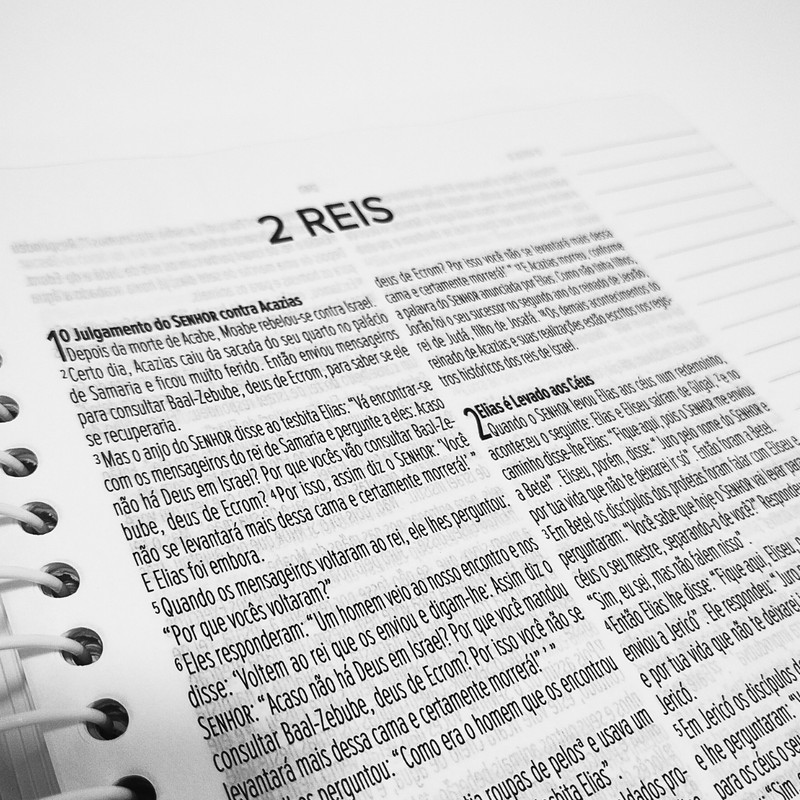 Minha Bíblia Diária | NVI | Anote | Tulipa - Image 4