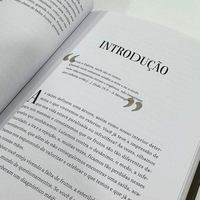 Box Coleção Mulheres | Viviane Martinello - Image 4