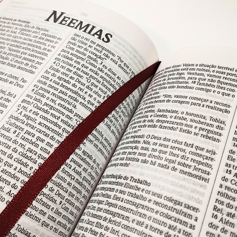 Bíblia Jovem | NVI | Capa Dura | Faith - Image 4