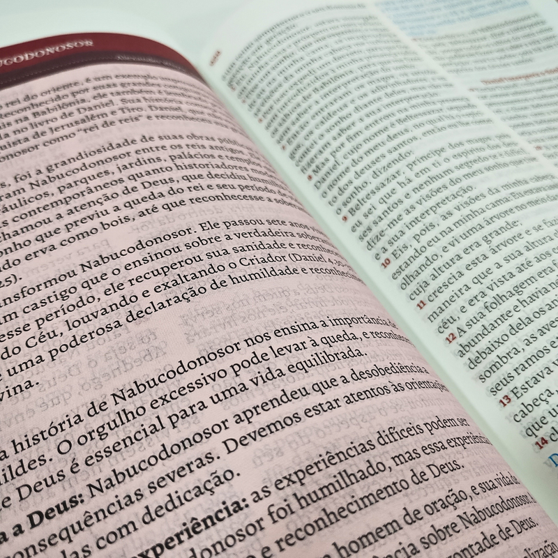 Bíblia De Estudo Aplicação Para A Vida | ARC | Capa Luxo Preta - Image 3