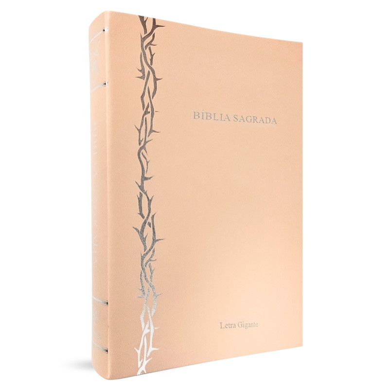 Bíblia | Letra Gigante | Capa Luxo | Rose