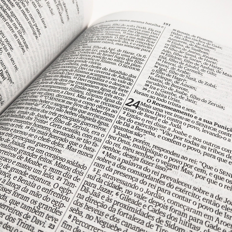 Bíblia Slim | ARC | Capa Luxo Marrom - Image 2