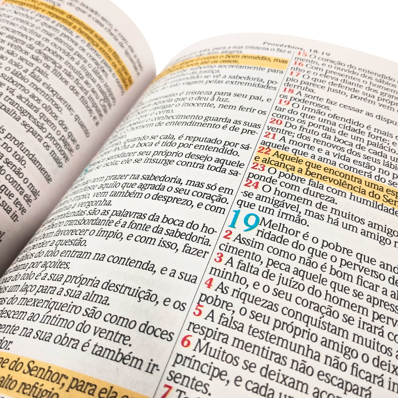 Bíblia | Jumbo | Capa Luxo | Rose - Image 4
