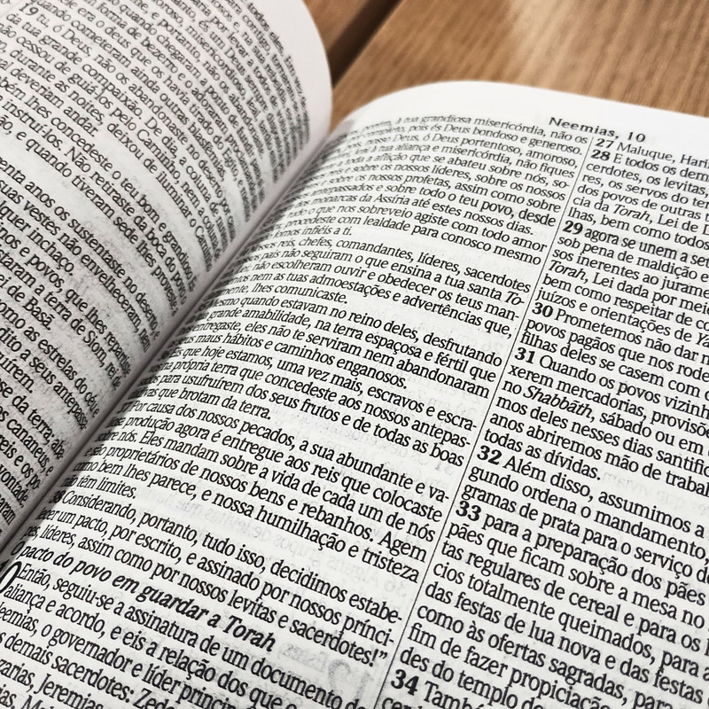 Bíblia KJA | Slim | Capa Luxo Rose - Image 2