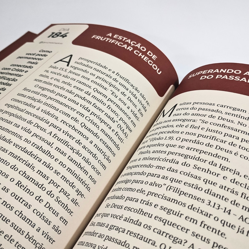 Devocional Priorize Deus | Michel Simplicio | 2026 | Capa Dura Marrom - Image 4