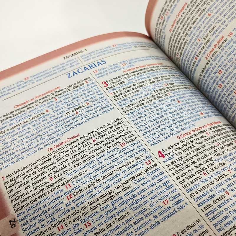 Bíblia NVA | Palavras Em Destaque | Brochura | Túmulo - Image 2