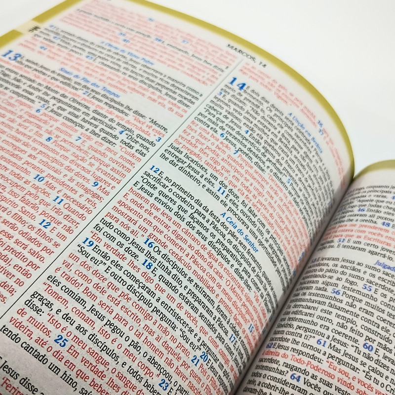 Bíblia NVA | Palavras Em Destaque | Brochura | Jesus e Crianças - Image 3