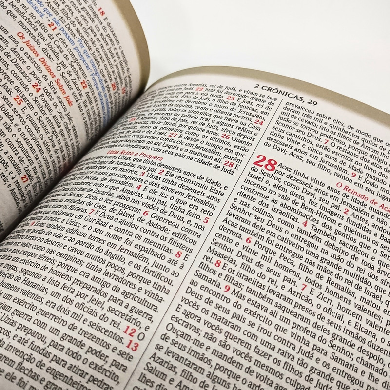 Bíblia NVA | Palavras Em Destaque | Brochura | Ramo De Espinhos - Image 4